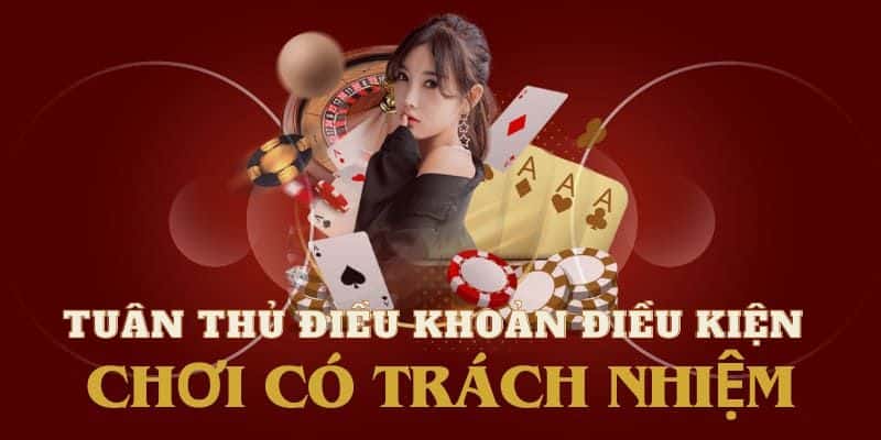 Nohu90 xây dựng chính sách điều khoản điều kiện và hội viên thực hiện