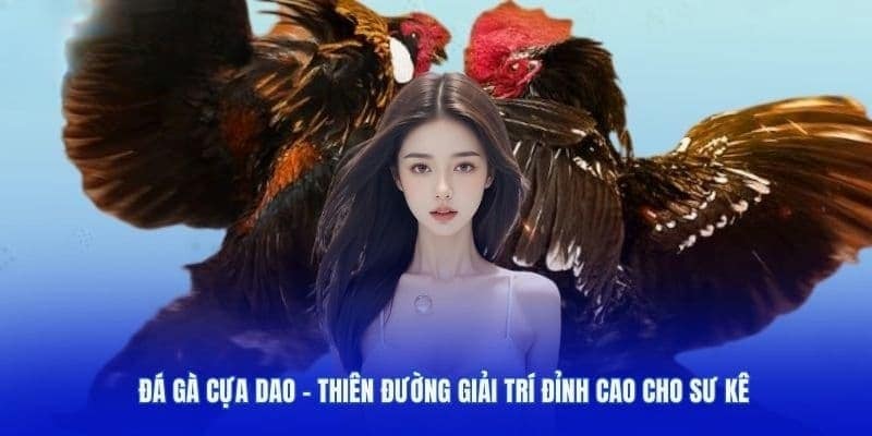 Đá Gà Cựa Dao - Tổng Hợp 5 Kinh Nghiệm Cá Cược Bất Bại