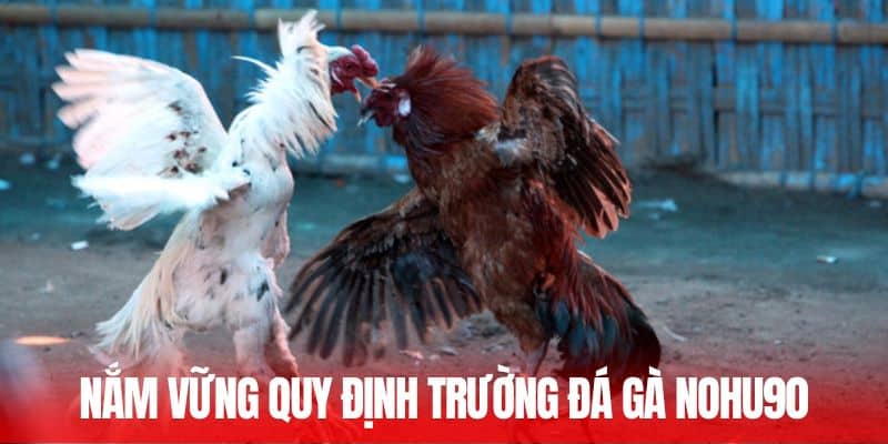 Nắm vững quy định trường đá gà Nohu90